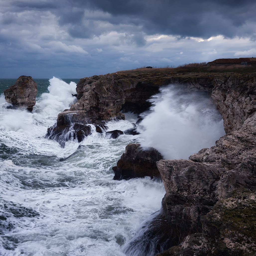 Betrayed by
											the Sea