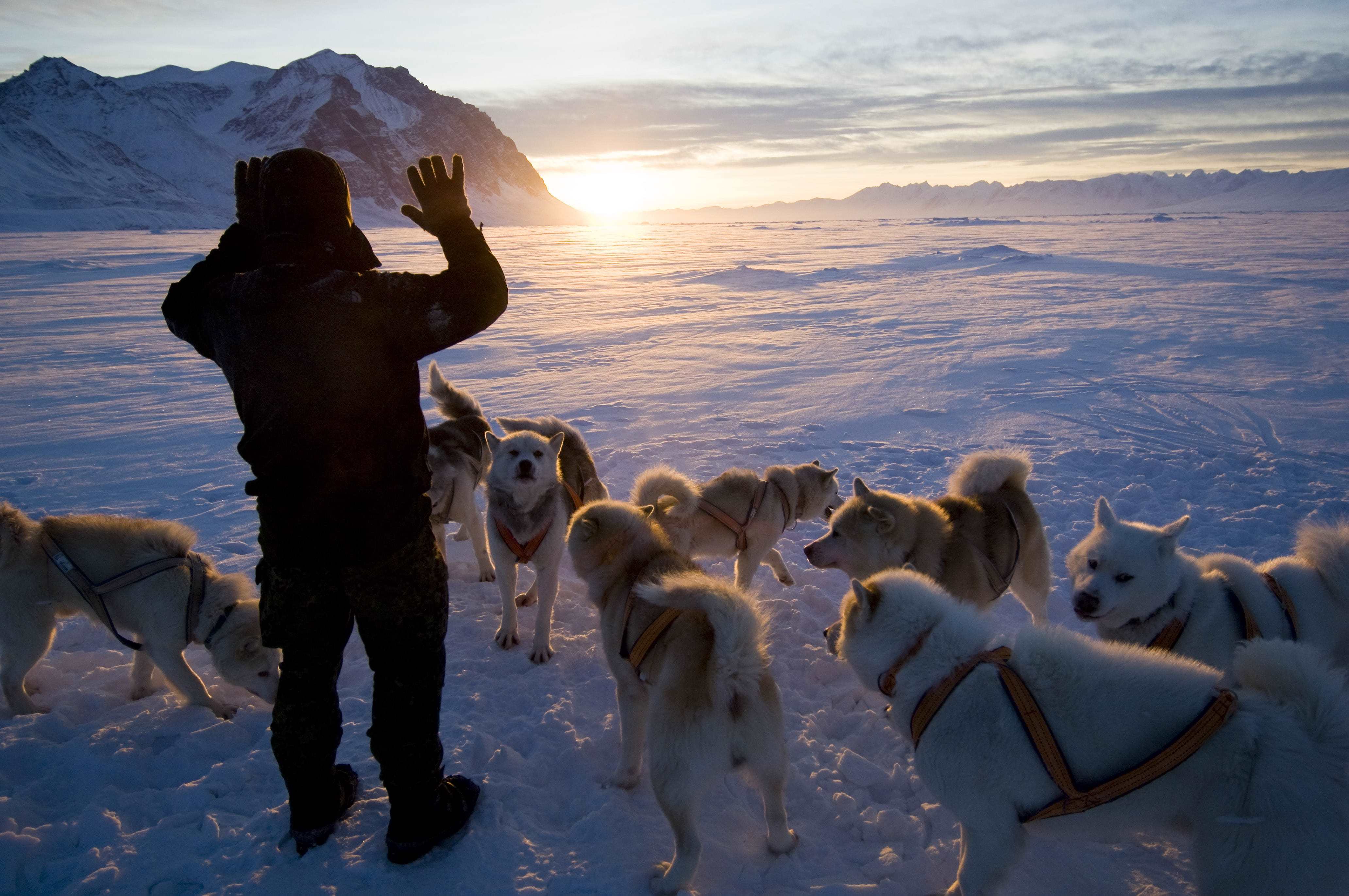 Morten forges a strong bond with the sled dogs during his time in Greenland. He has 12 dogs pulling his sled and knows the personality of each and every one of them.