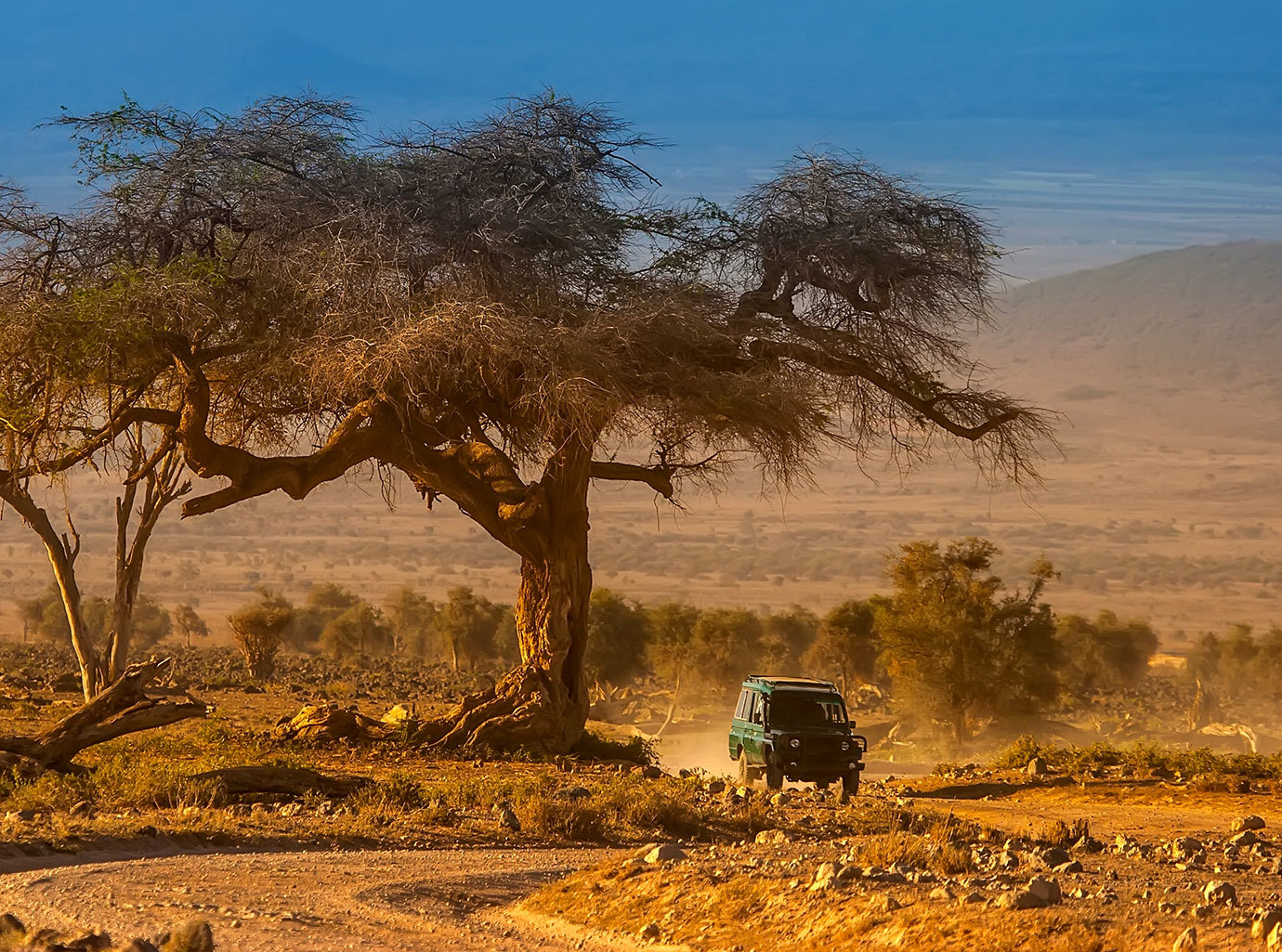 The
									Outsider