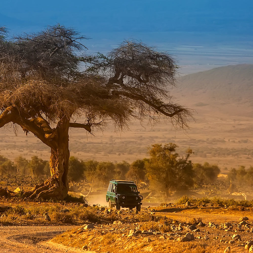 The
											Outsider